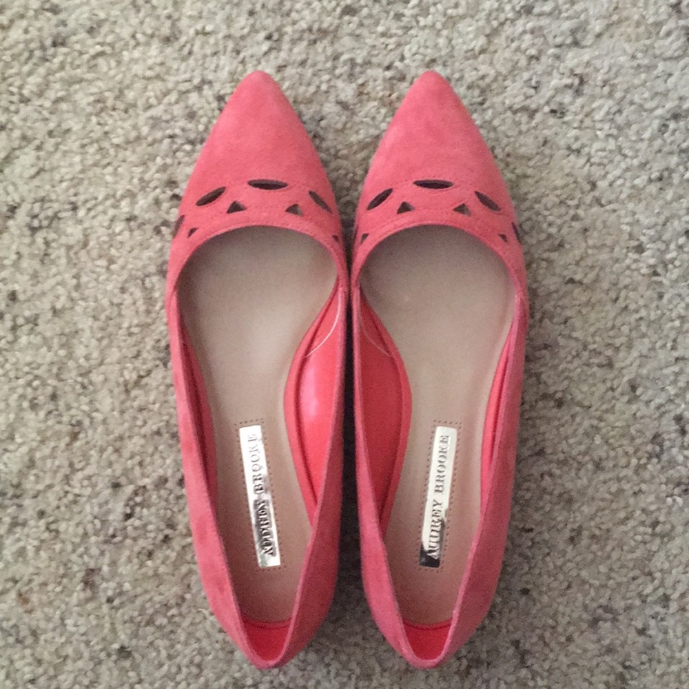 NWT pointy toe flats